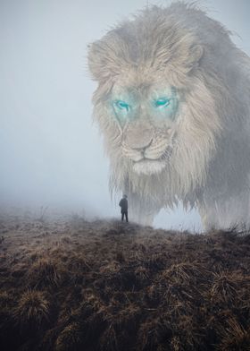 Lion on the Fog