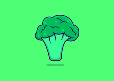 Broccoli Fresh vegetable