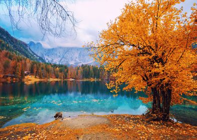 Autumn Lake Fusine