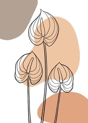 Red anthurium line art