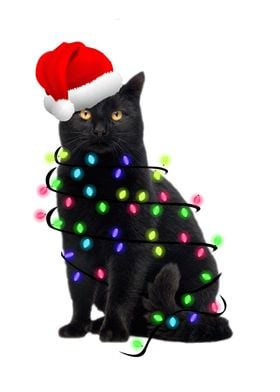 Santa Black Cat Tangled Up