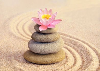 Sand Stone Lotus Flower