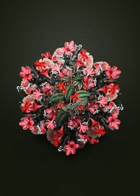 Standish Fuchsia Wreath