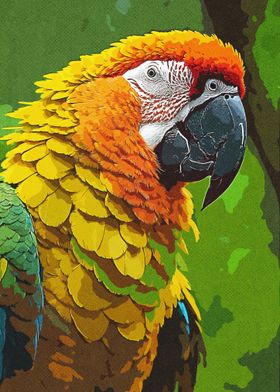 Parrot Vintage