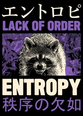Entropy Raccoon