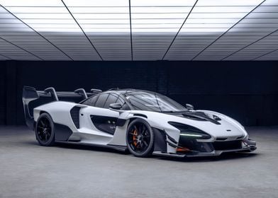 MCLAREN SENNA GTR Speed