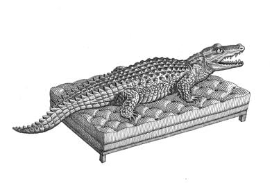 Crocodile