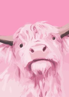 Pink Cow