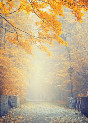 Autumn path, bridge, park