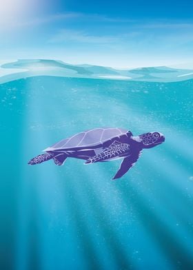 Turtle in ocean