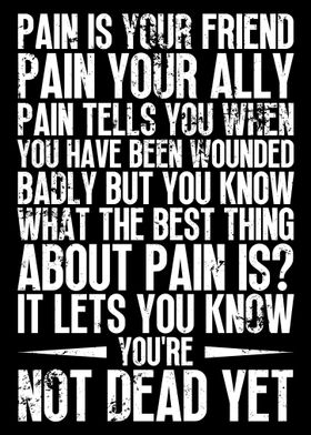 Samurai Quotes Pain