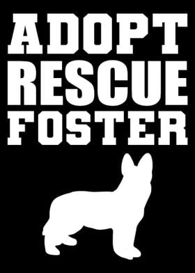 Adopt Rescue Foster Animal