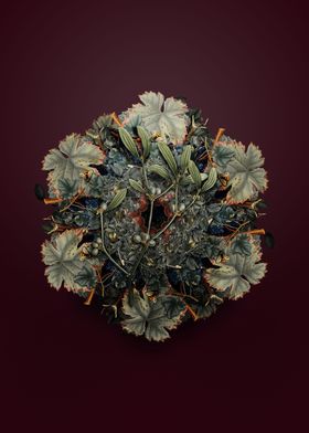 Viscum Album Branch Wreath