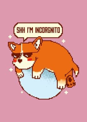 Incorgnito