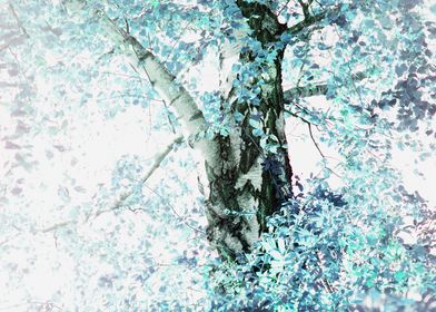 Dreamy Birch Tree 2