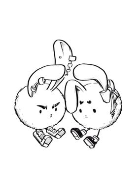 Opposite Twin Bunnies