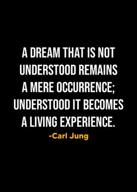 Carl Jung Quotes 