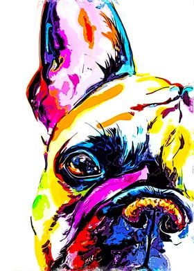 French Bulldog