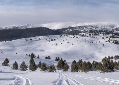 Serra de Querol winter 6