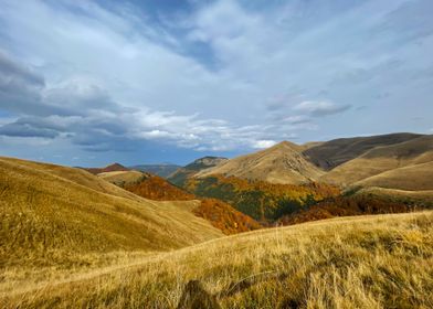 Forest Mountain Autumn