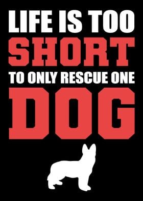 Rescue One Dog Dog Trainer