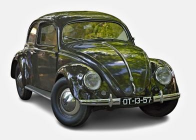 Historic Pretzel Beetle