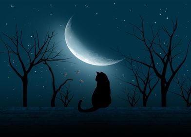A cat in night