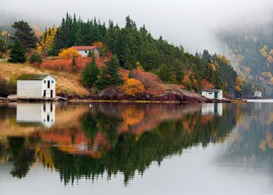 Autumn in Trinity Bay