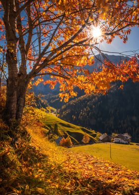 Autumn in the Dolomites