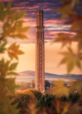 Coxs Stack Dundee