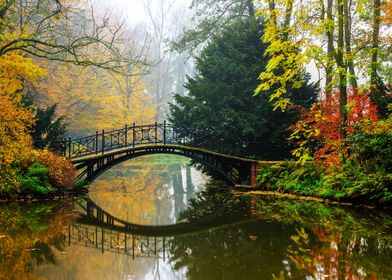 misty autumn landscape