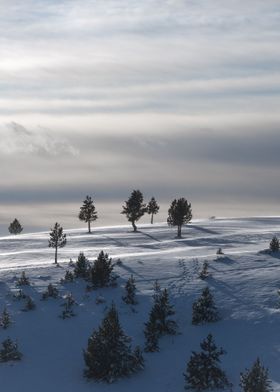 Serra de Querol winter 6