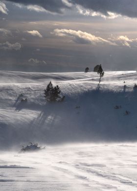 Serra de Querol winter 2