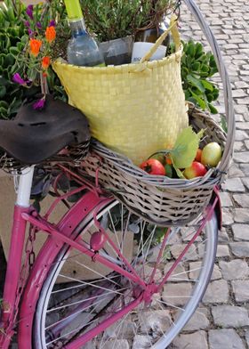 Picnic bicycle