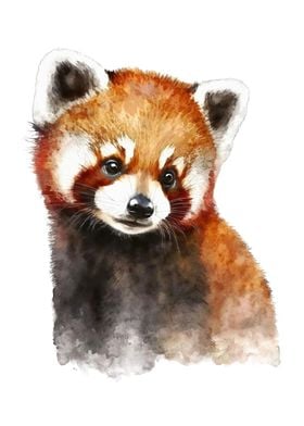 Red Panda Watercolor Art