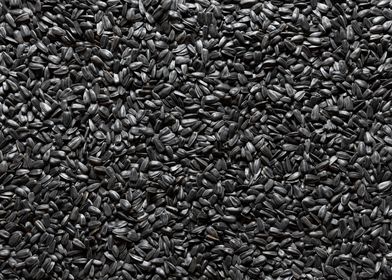 Sunflower seeds background