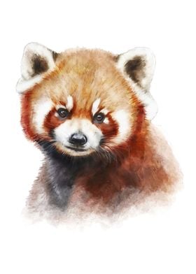 Red Panda Watercolor Art