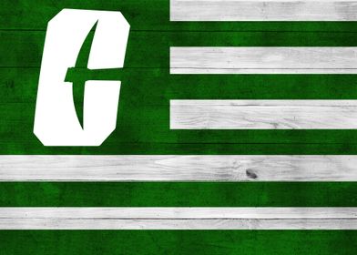 Charlotte 49ers Wood Flag