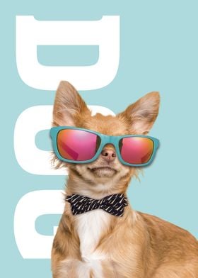 Cool Dog with Sunglasses