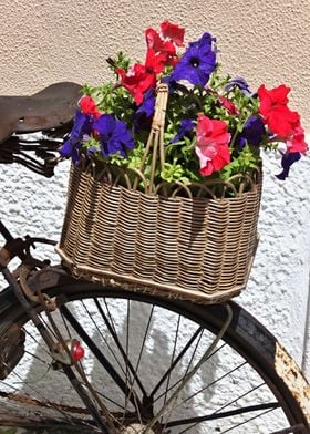 Old bicycle with flowers