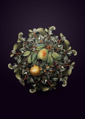 Pear Fruit Wreath