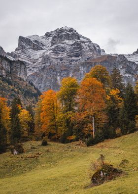 Swiss alpine Fall
