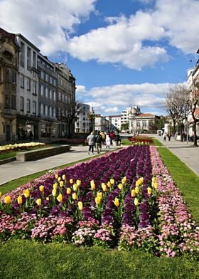 Spring time in Braga