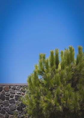 Santorini Wall