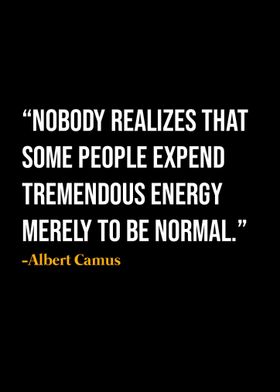 Albert Camus Quote 