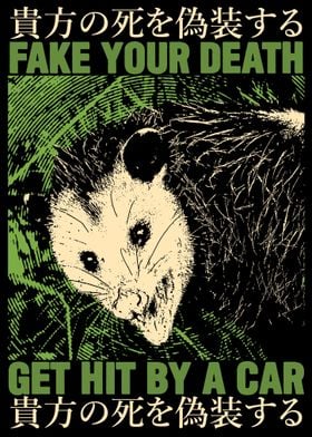 Fake Your Death Opossum