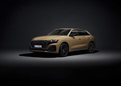 Audi q8 55 tfsi 