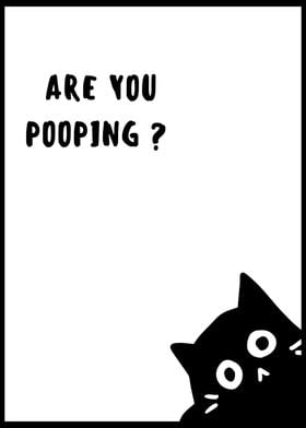 BLACK CAT ARE YOU POOPING