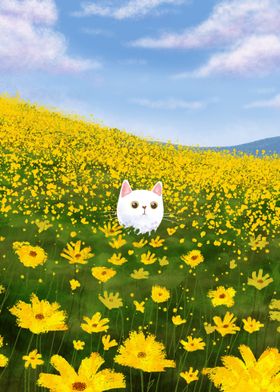 White cat in nature