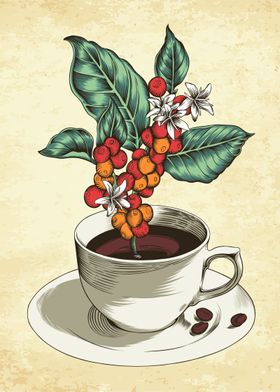 Coffee leaves and berries 